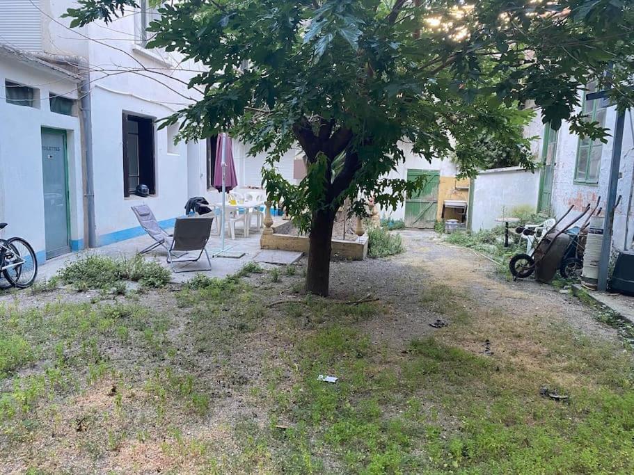 Appt 4 Pers Avec Jardin Ombrage En Centre Ville De Σετ Εξωτερικό φωτογραφία